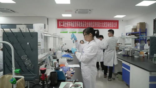 江西全省市場監管系統食品安全抽檢監測技能大比武活動圓滿落幕，信息技術咨詢服務助力監管能力提升